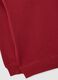 Red regular fit pure cotton children's sweatshirt_3