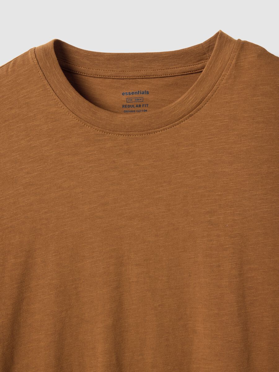 Brown Pure Cotton Regular Fit T-Shirt_5