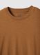 Brown Pure Cotton Regular Fit T-Shirt_5