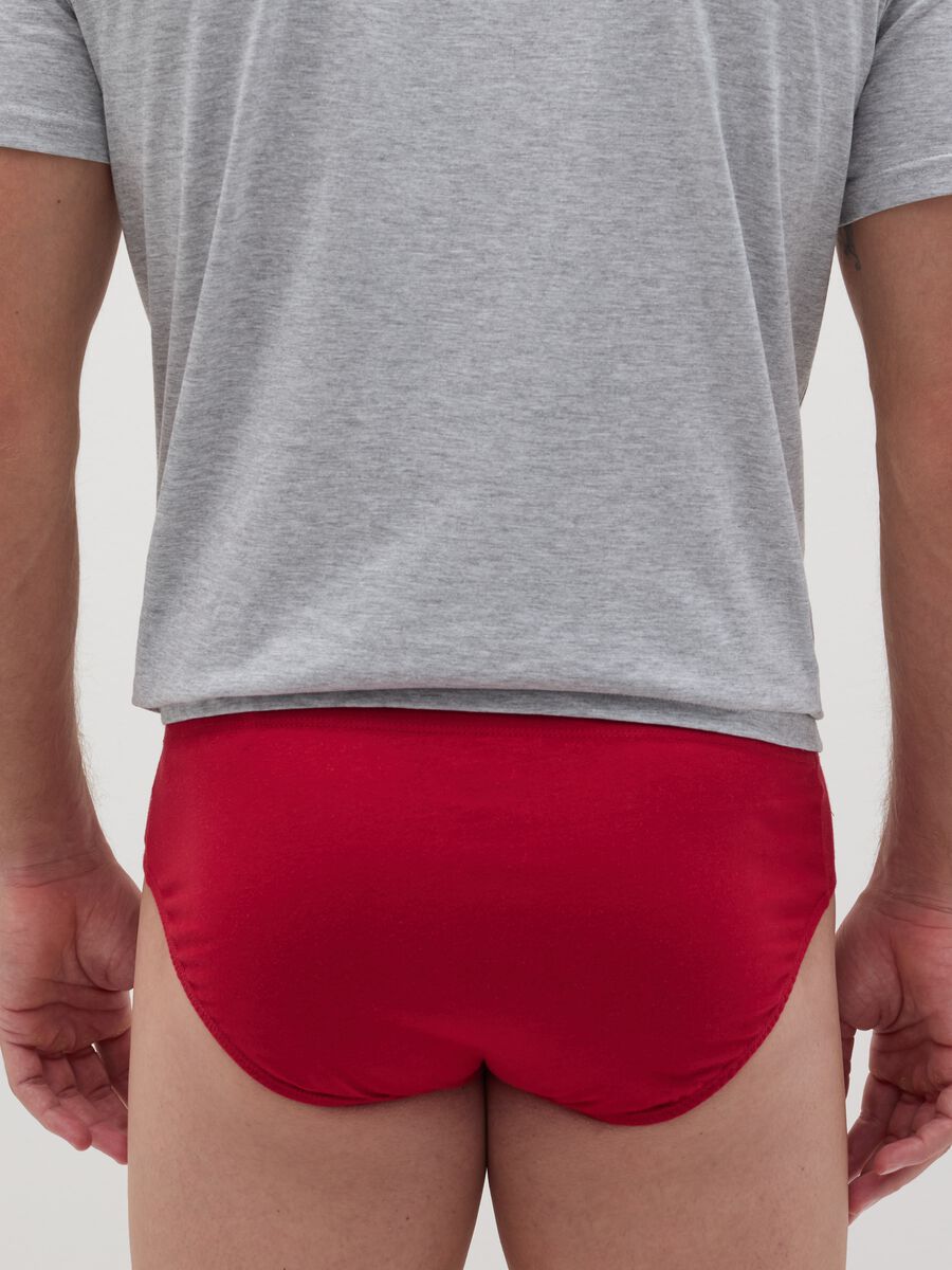 Briefs with Christmas print_3