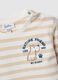 Multicolour striped pure cotton t-shirt for boys with embroidery_2