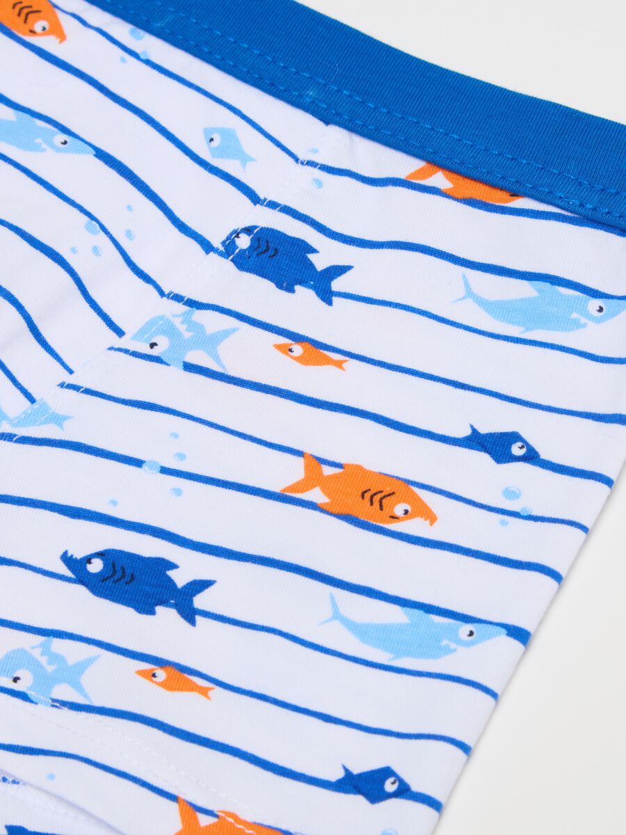 Striped boxer shorts in stretch cotton with fish print_3