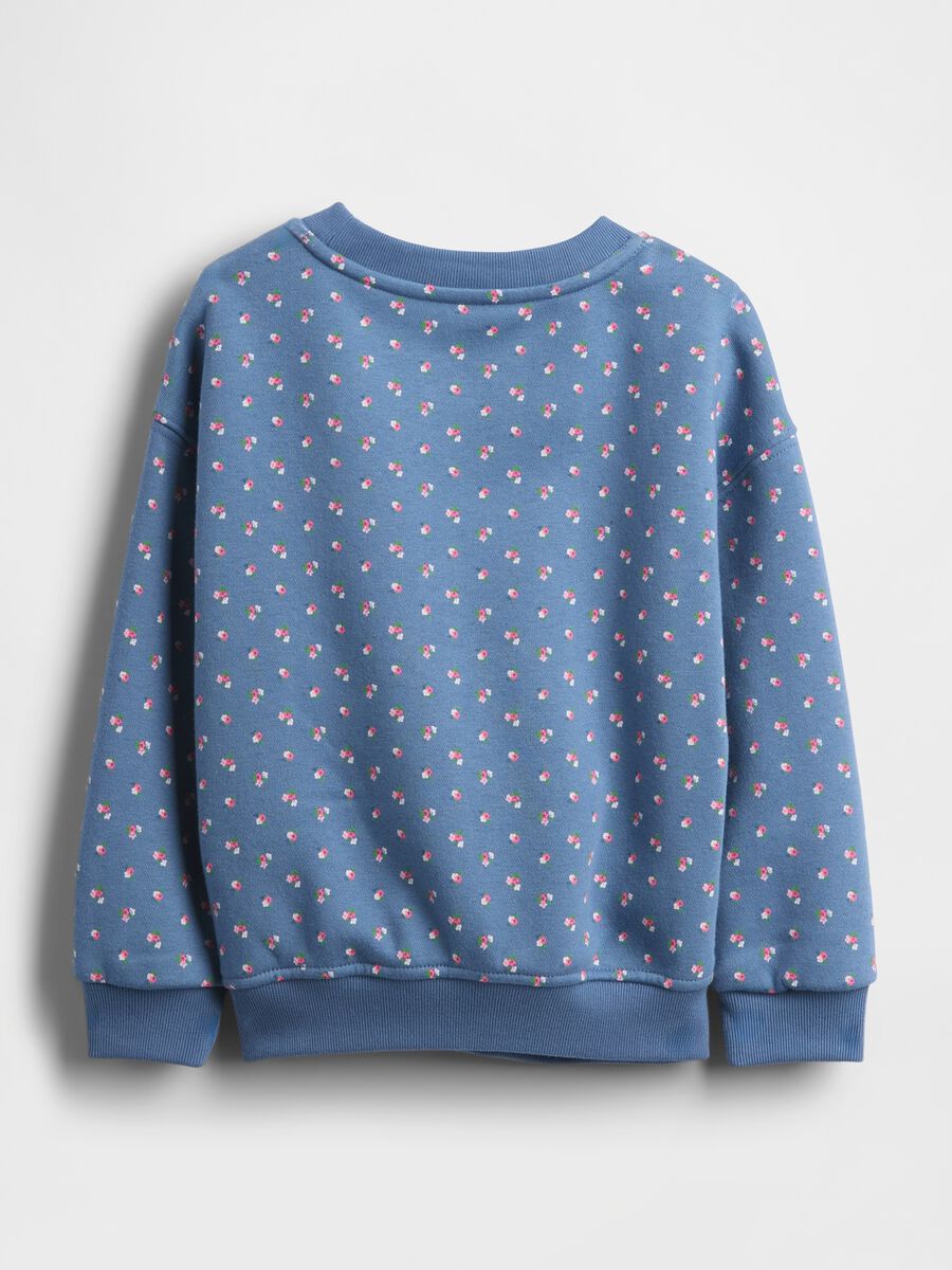 Blue Crew Neck Sweatshirt_1