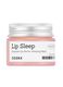 Balancium Ceramide Lip Butter Sleeping Mask (EU)_1