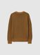 Boys' Brown Regular Fit Jumper_4