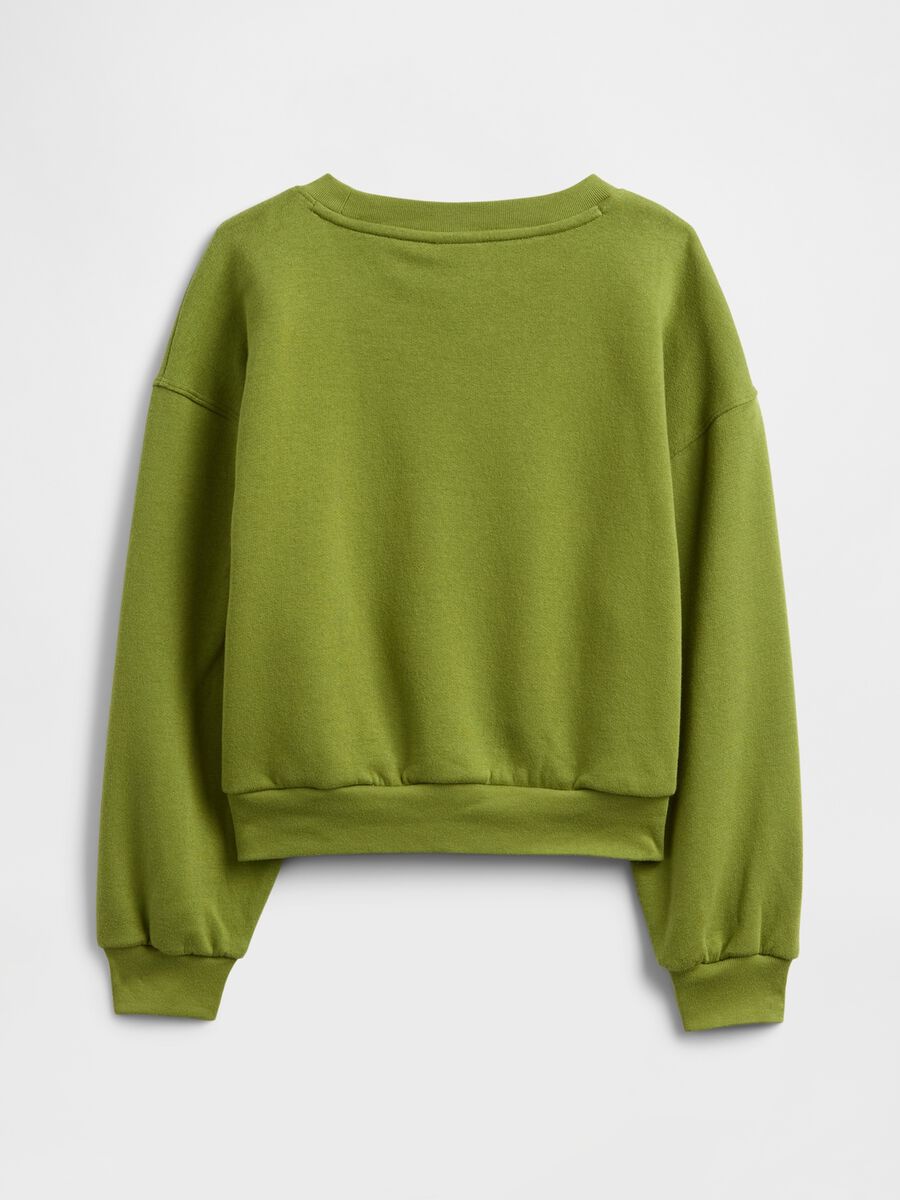 Green Hoodie with Embroidered Flowers_1