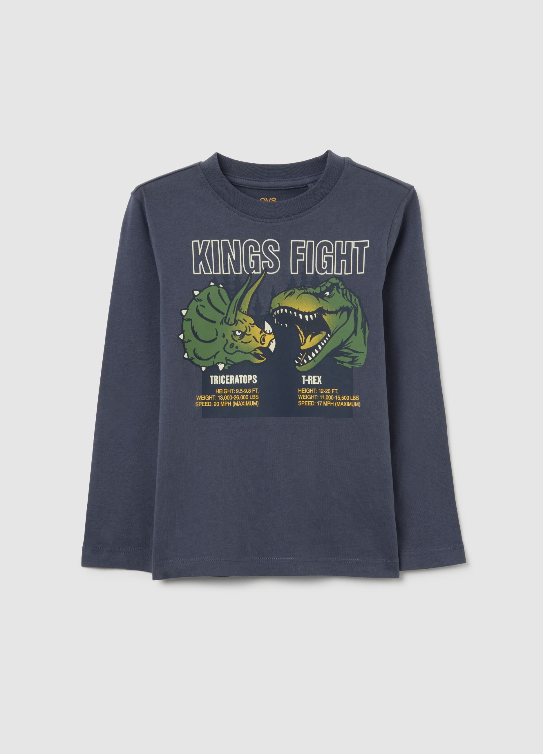 Blue Long Sleeve T-Shirt