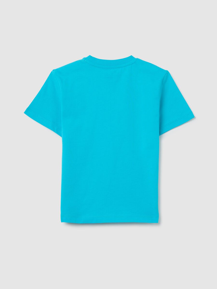 Light blue cotton T-shirt with round neck_1
