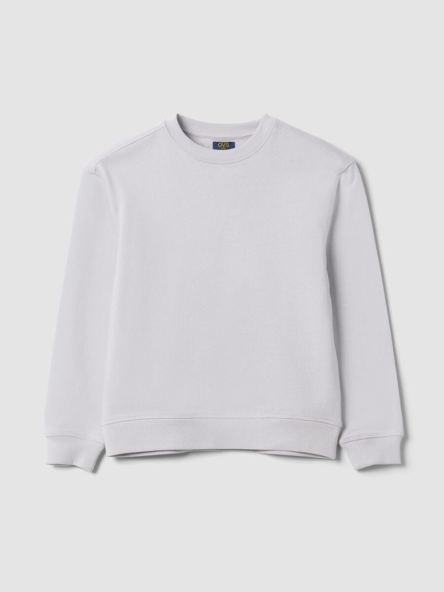 Grey pure cotton crew-neck sweatshirt for boys, relaxed fit_3