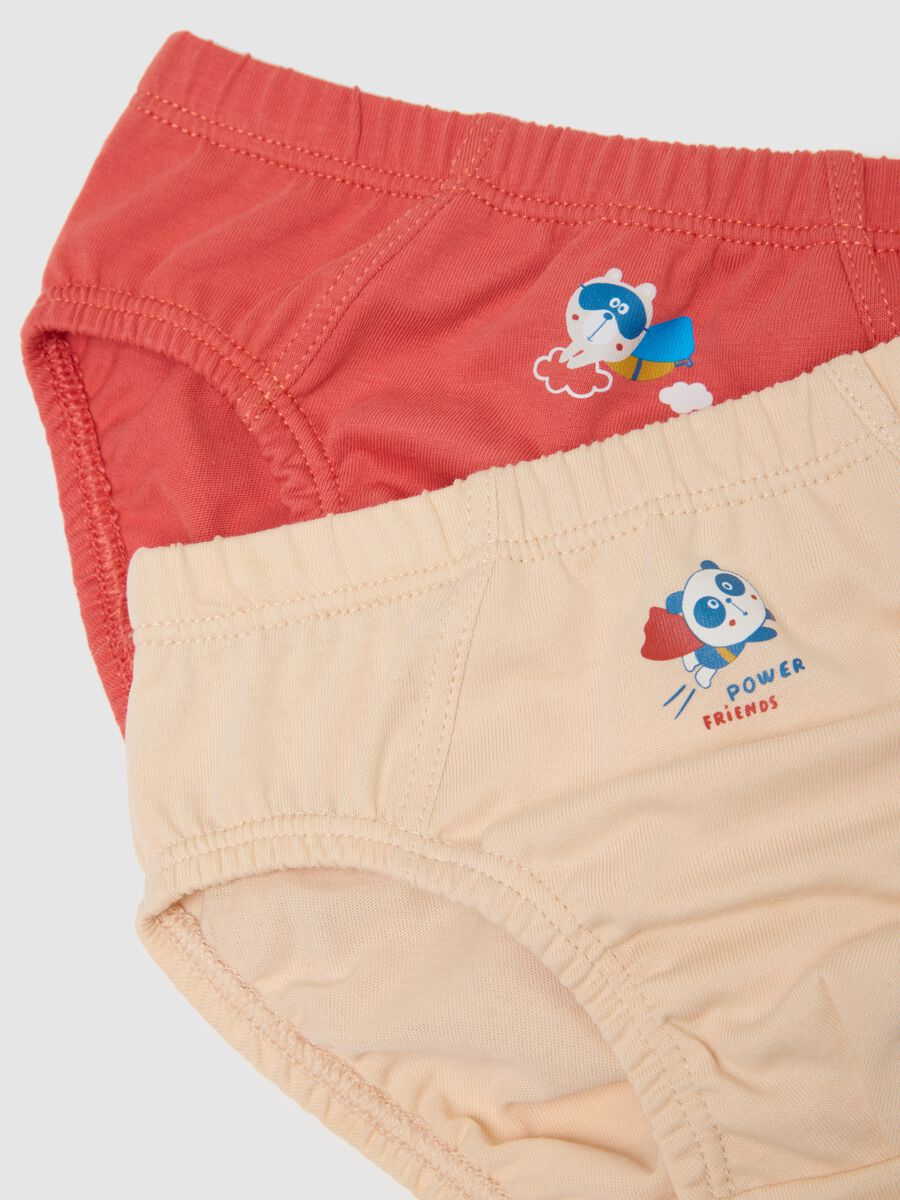 Multipack of baby multicolour pure cotton regular fit briefs_2
