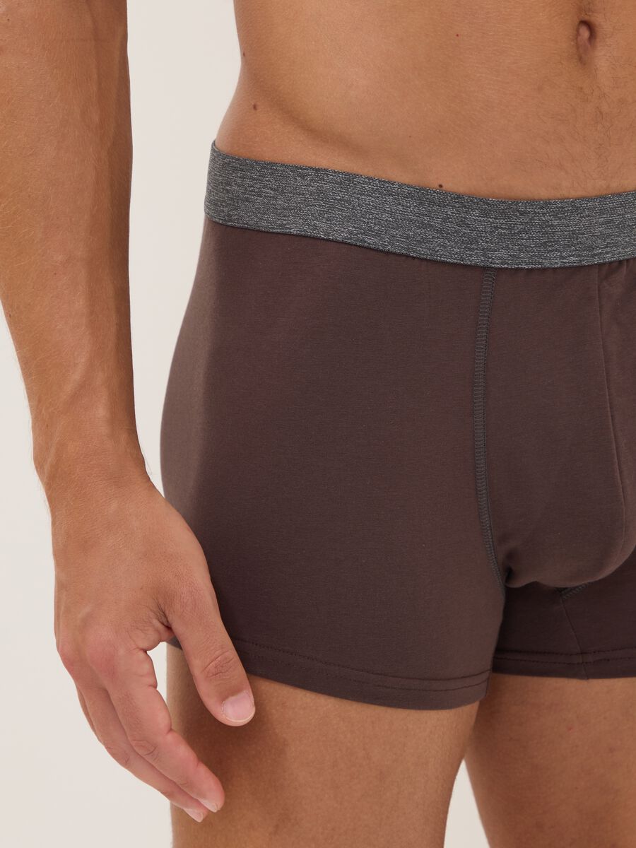 Multipack di cinque boxer multicolor in cotone organico elasticizzato_3