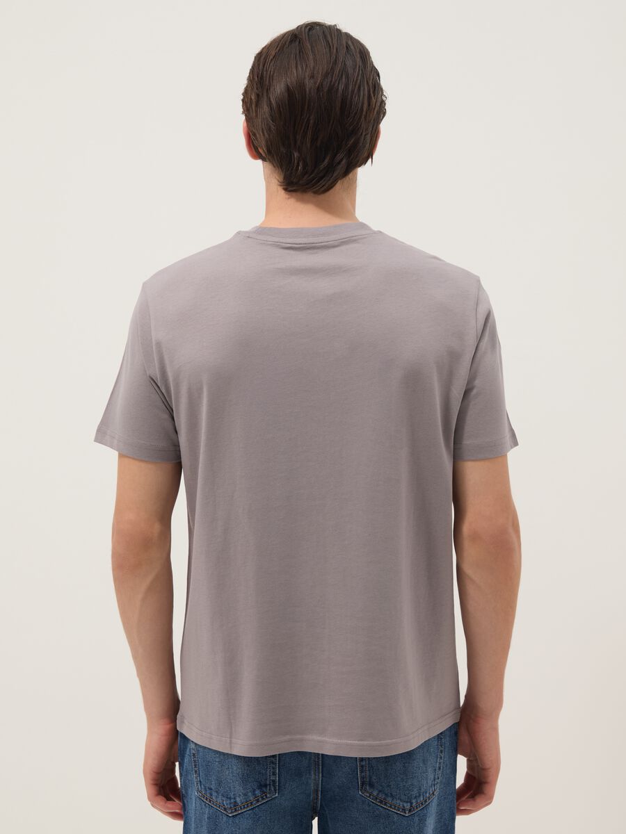 Grey pure cotton T-shirt with front print, regular fit_2