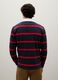Multicolour pure cotton polo regular fit_3