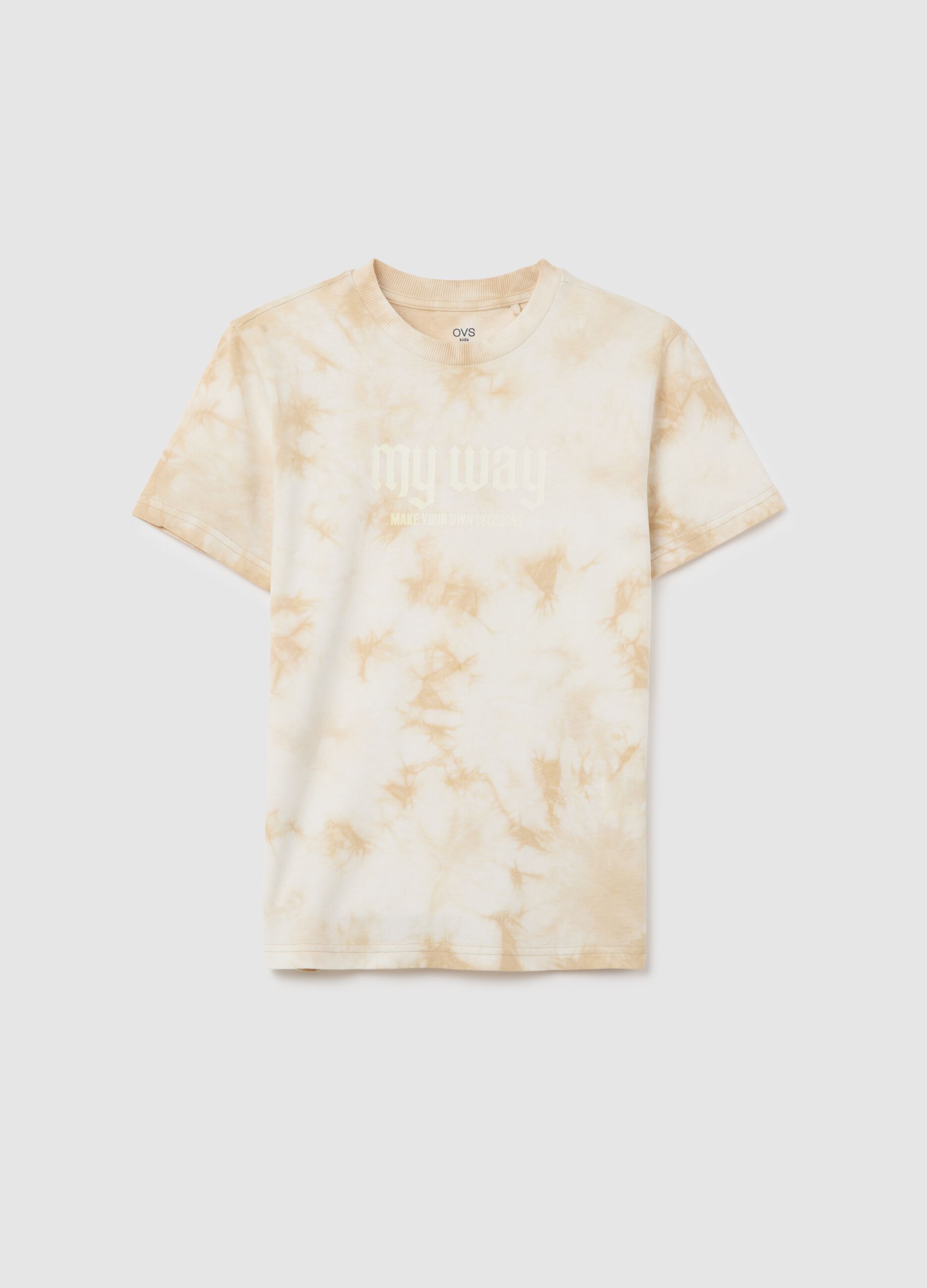 Boys' Multicolour Pure Cotton Regular Fit T-Shirt with Print