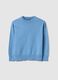 Blue children's pure cotton crew neck jumper regular fit_0
