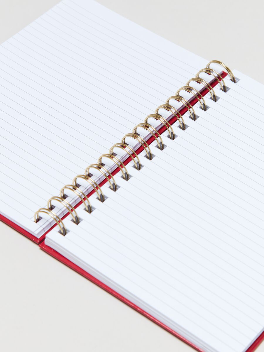 Quaderno a righe con spirale_2