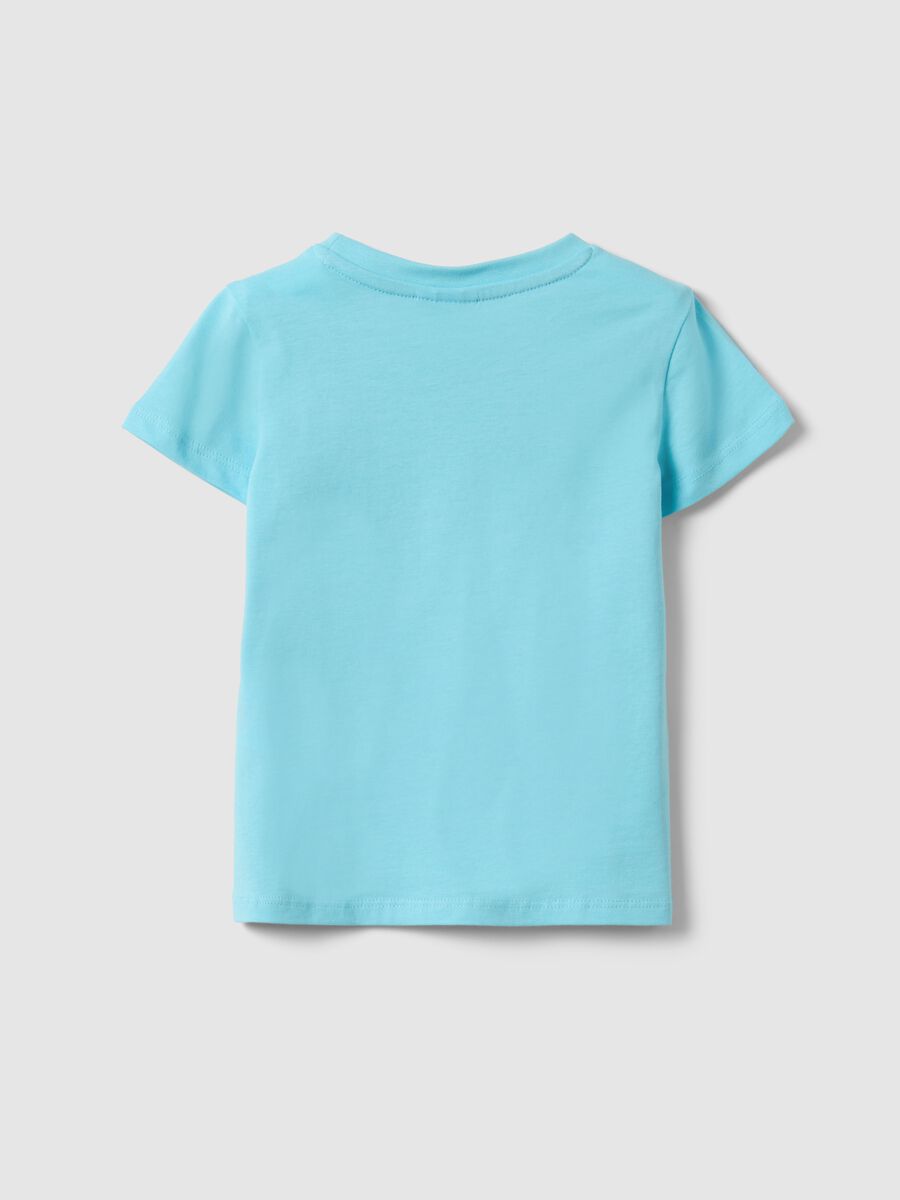 Sky blue pure cotton girl's t-shirt with cat print, regular fit_1