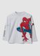Boys&rsquo; grey long-sleeved pure cotton T-shirt with Spider-Man print_0