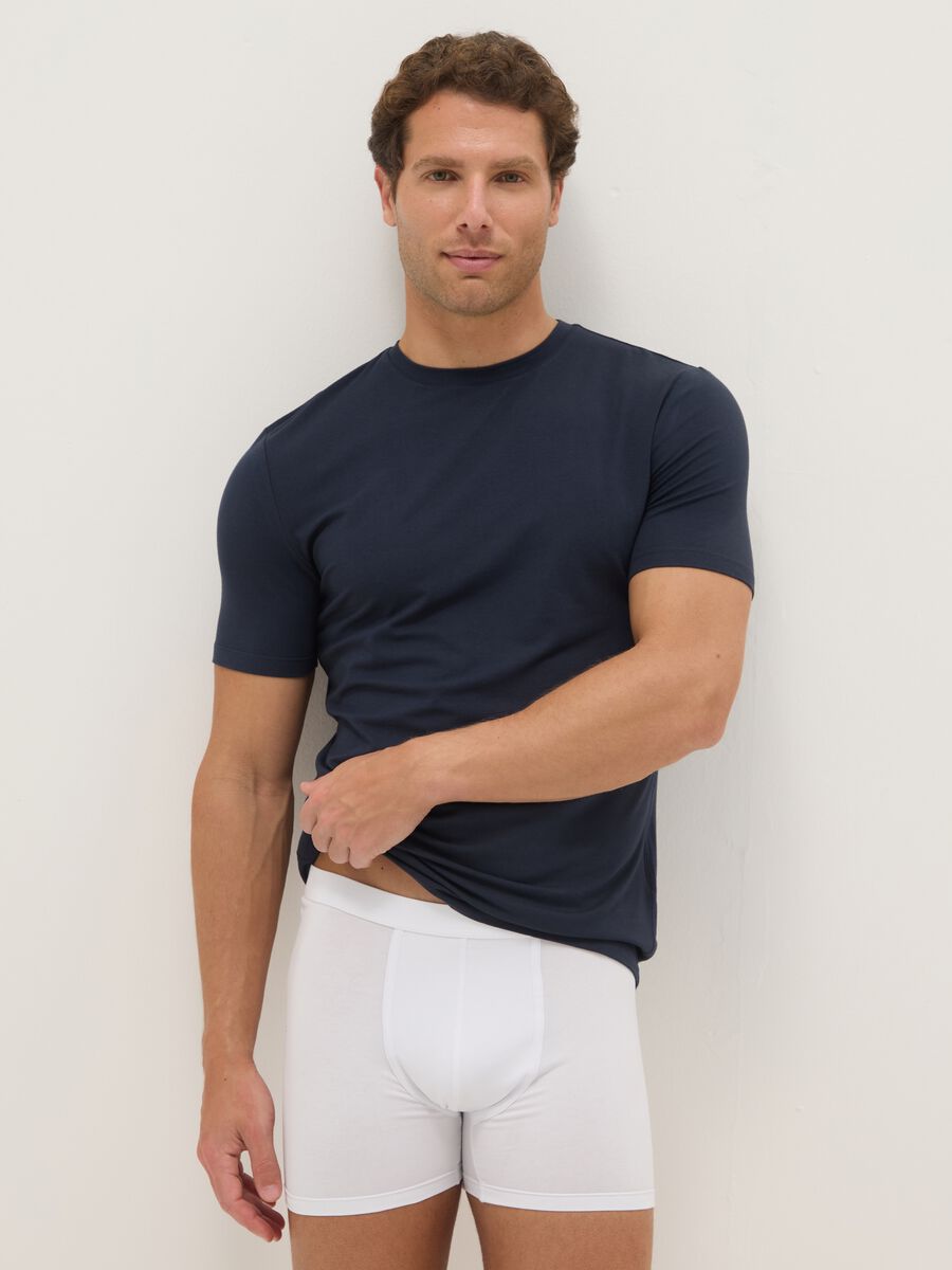 Blue Crew Neck T-shirt Regular Fit_0