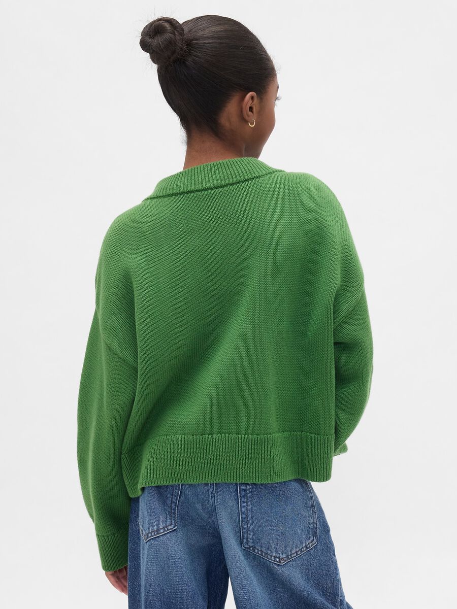 Green Cotton Sweater_1