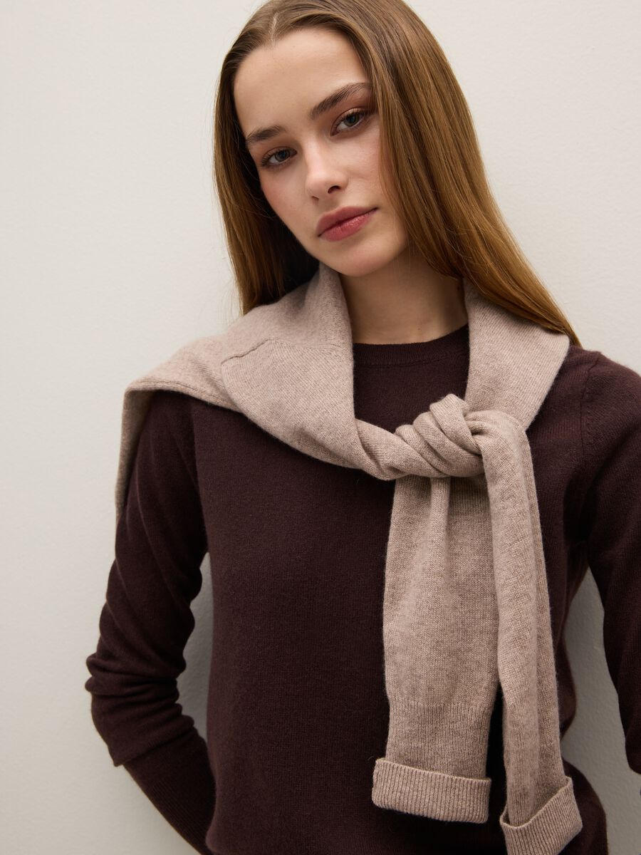 Brown crew neck sweater in pure cashmere, regular fit_0