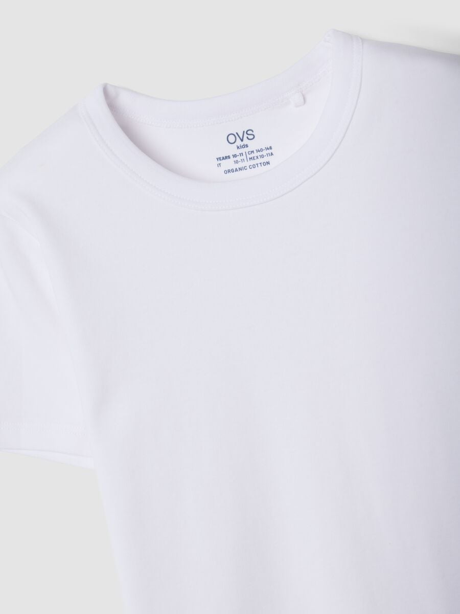 2-pack of white crew-neck T-shirts in pure organic cotton_2