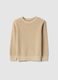 Child's regular fit beige crew neck pure cotton jumper_3