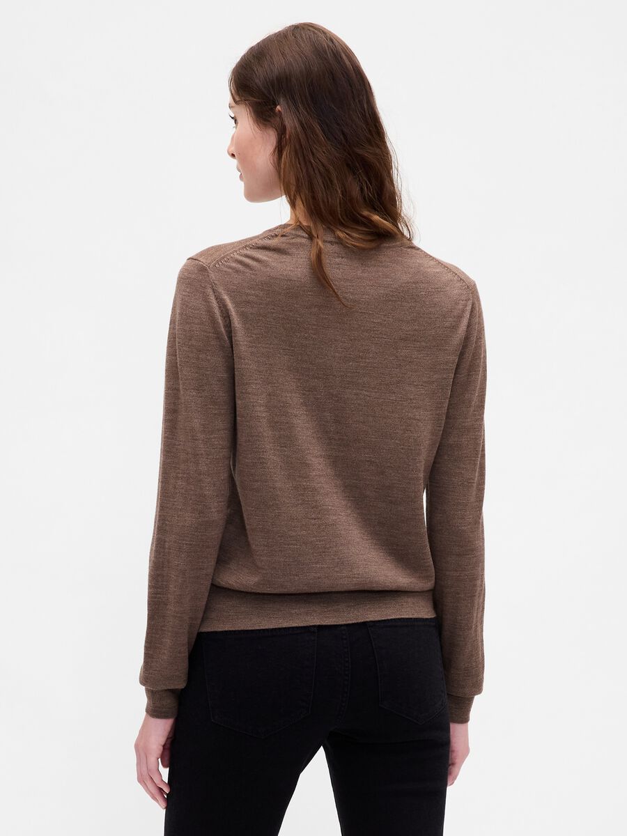 Brown Wool Sweater_1