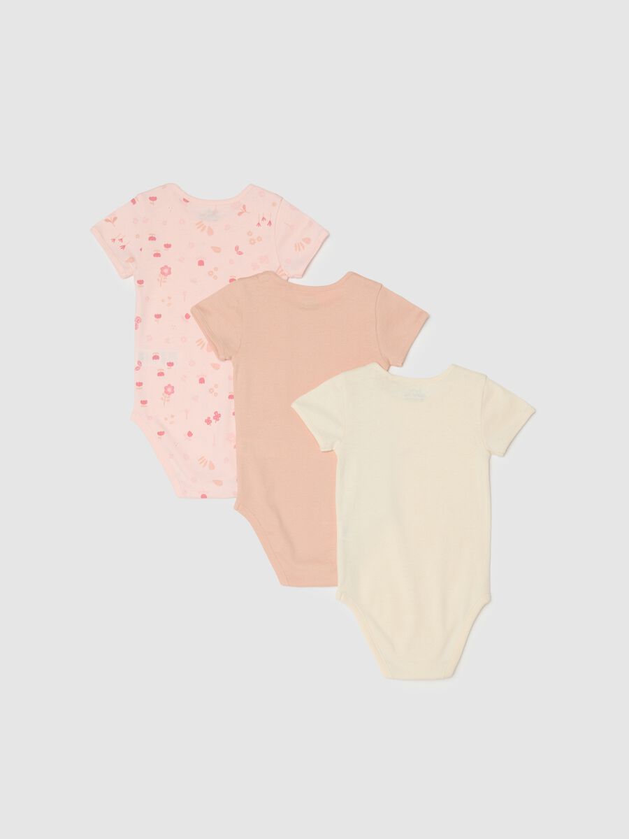 Multicolour short sleeve baby bodysuit tripack in pure cotton_1