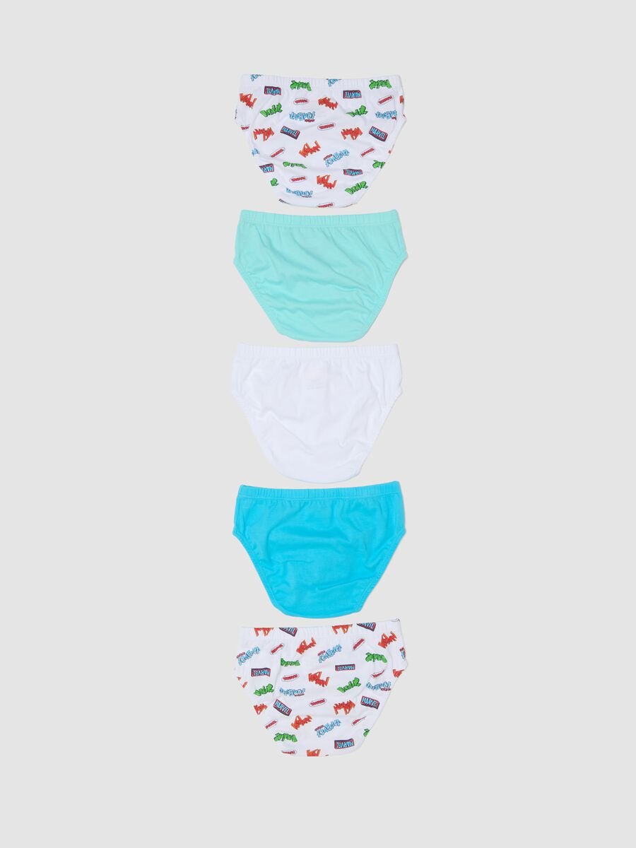 Multipack of five multicolour organic cotton briefs_1