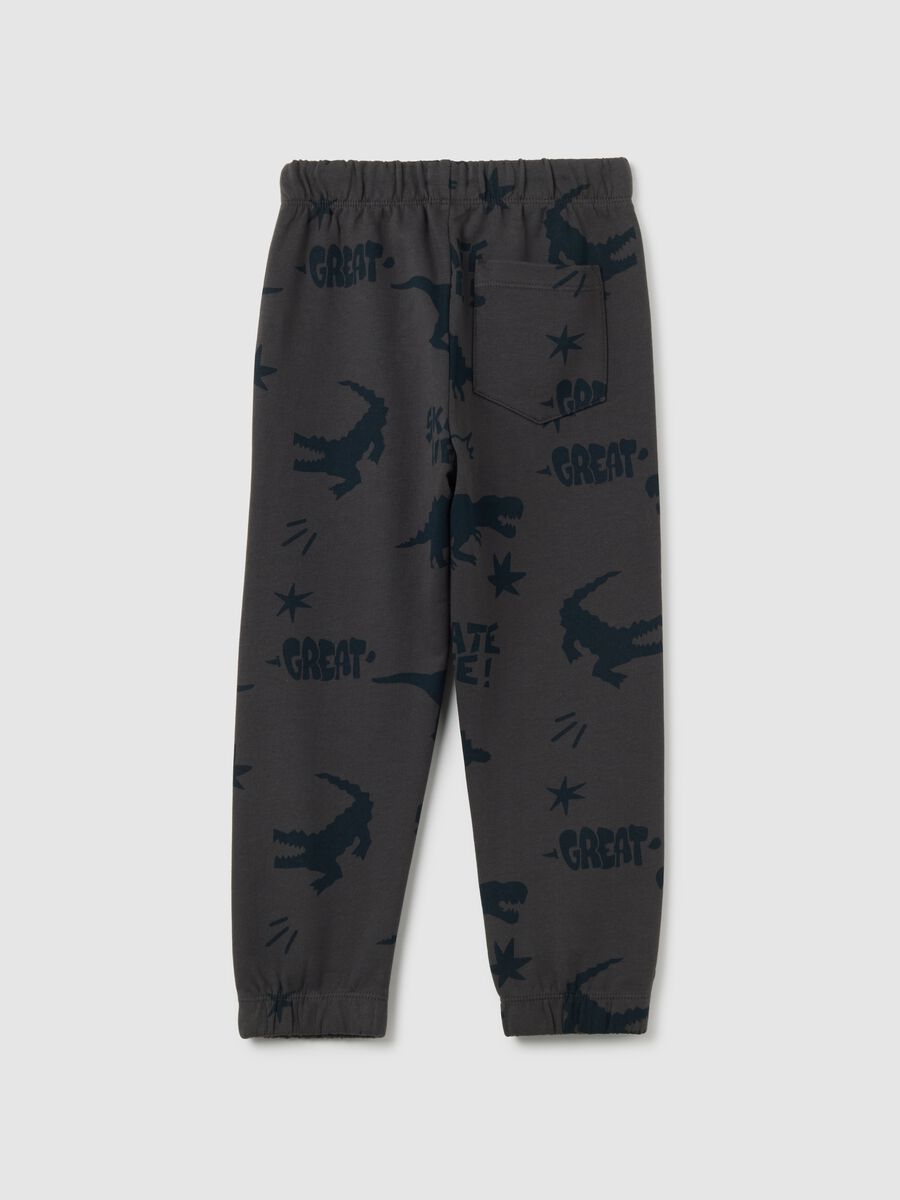 Children's grey pure cotton regular fit trousers with dinosaur print_1
