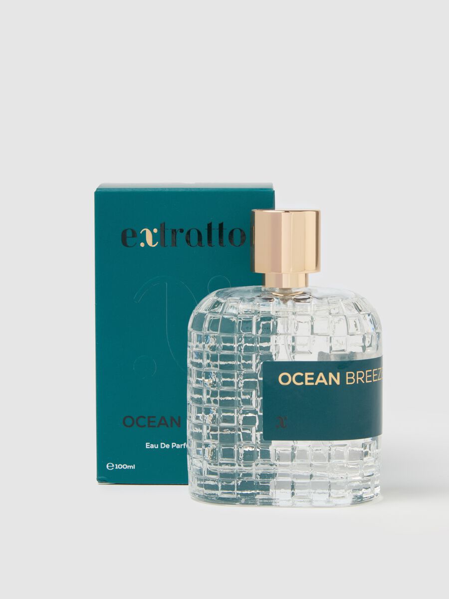 Ocean Breeze - a woody and marine extract_0