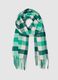 Multicolour Checkered Scarf_1