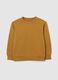 Children's brown regular fit pure cotton sweatshirt_0