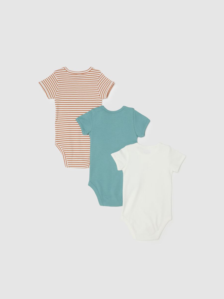 Multipack baby bodysuit in pure multicolour cotton_1