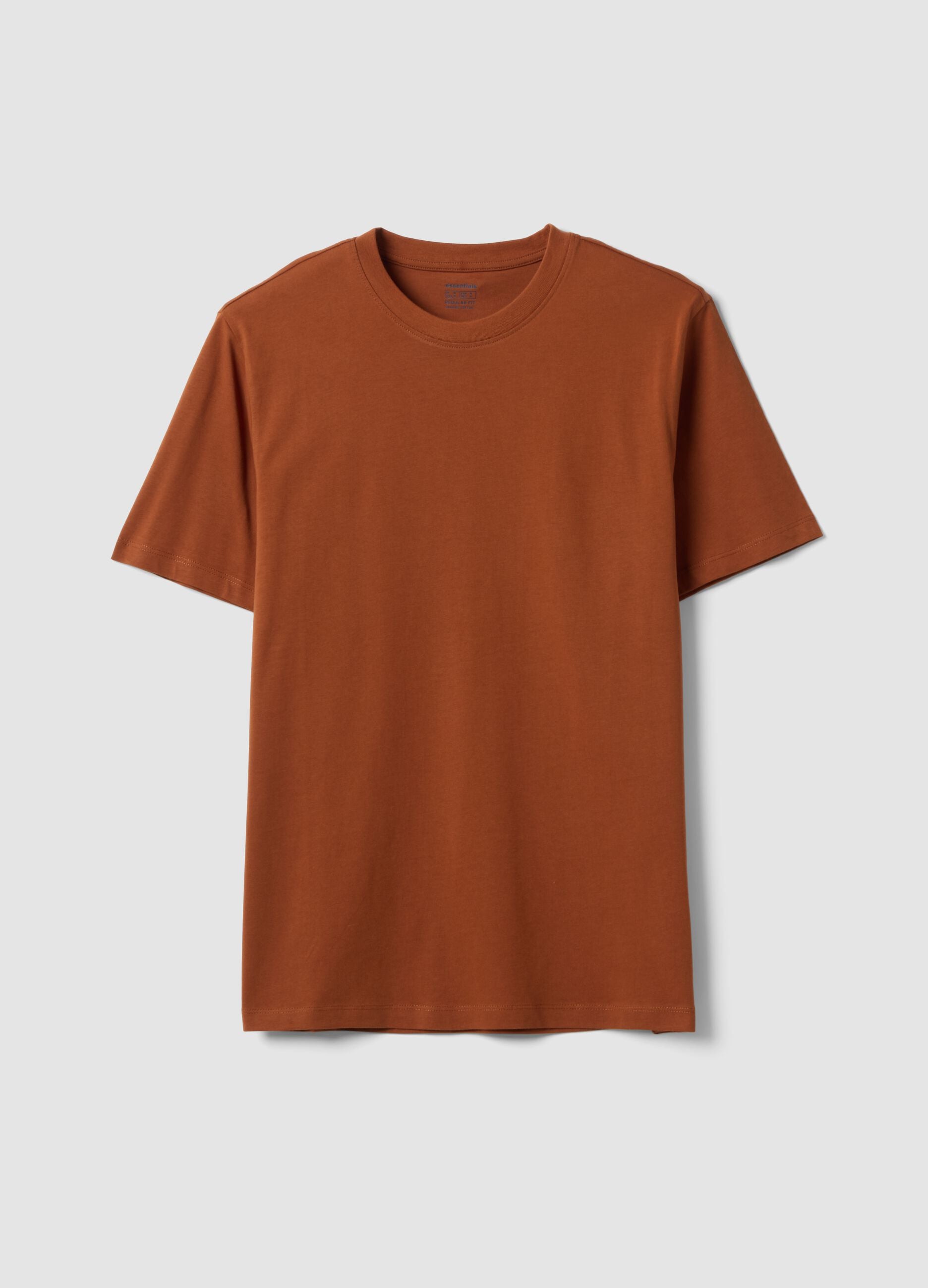 Brown regular-fit T-shirt in pure organic cotton jersey