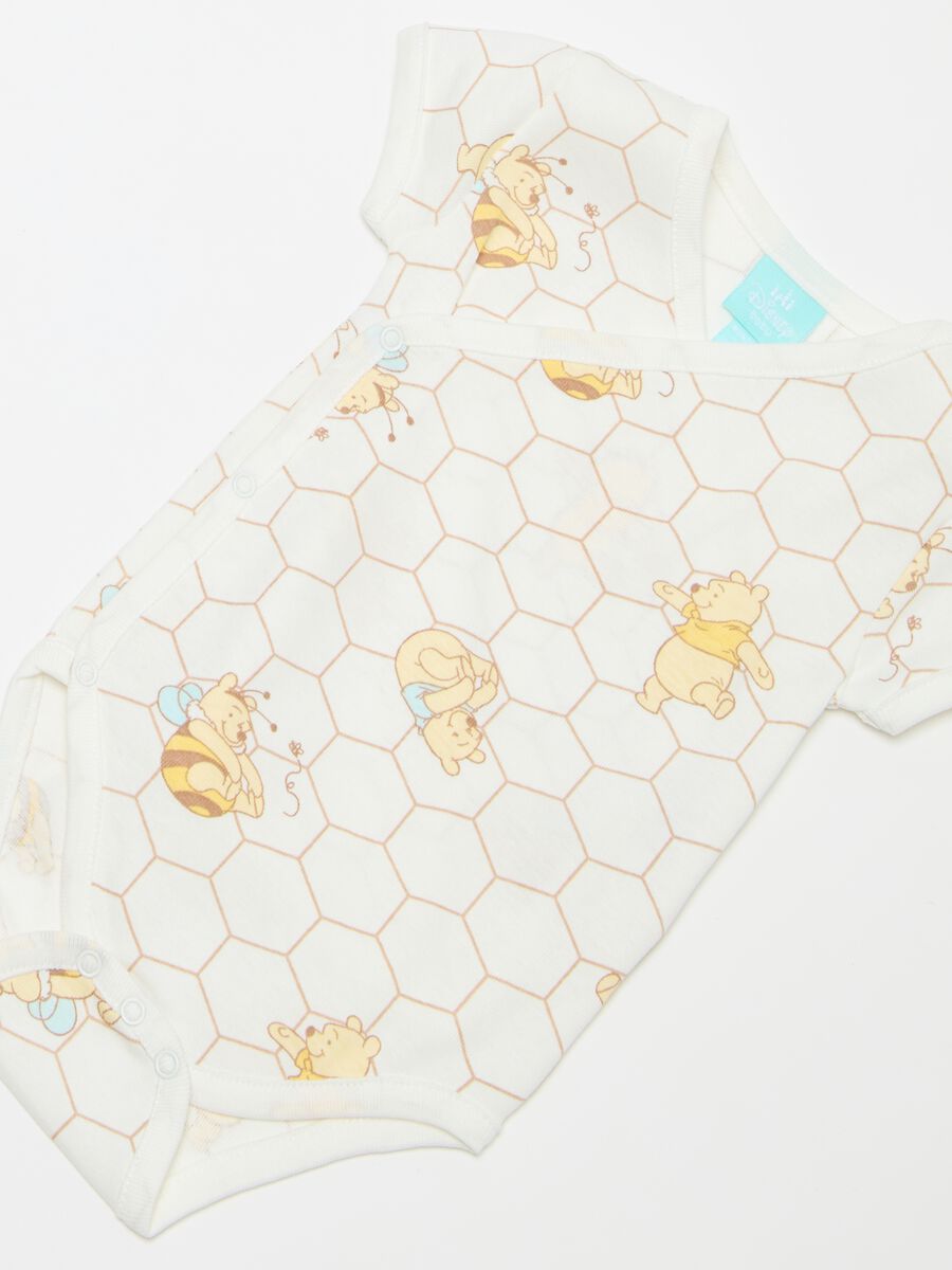 Two-pack Winnie the Pooh organic cotton bodysuits_2