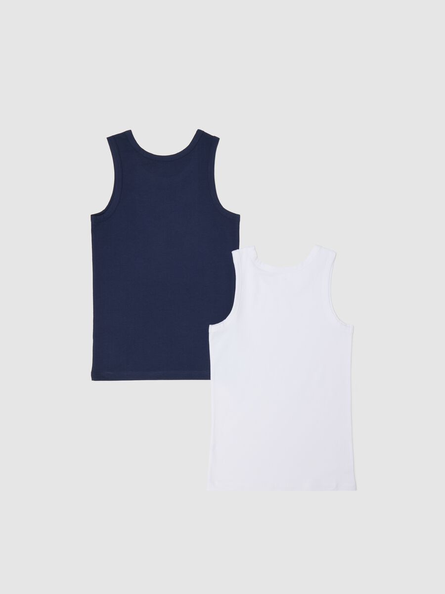 Bipack vogatori intimi blu e bianco in cotone bio_1