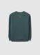 Kids' Green Crew Neck Sweatshirt with Print_5