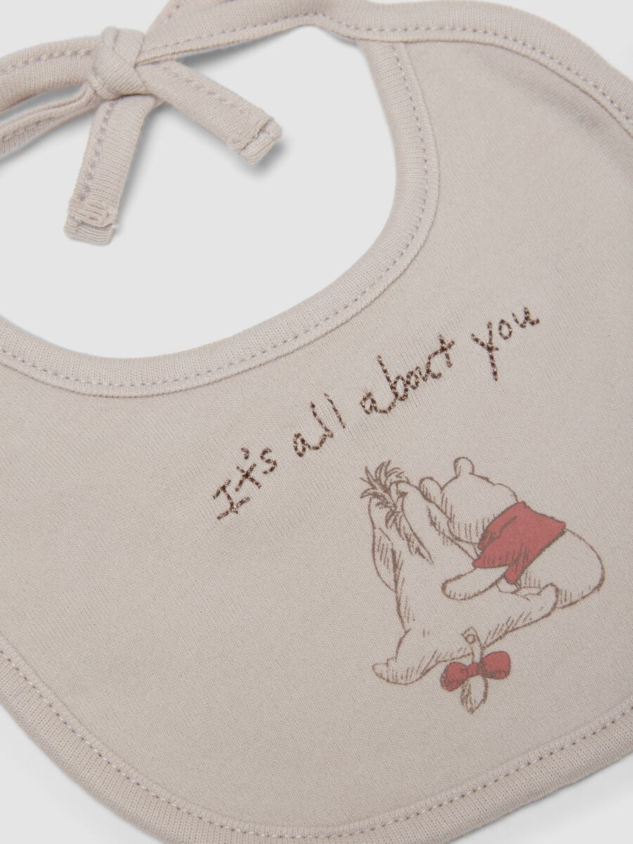 2-pack of multicolour pure organic cotton bibs with Winnie the Pooh print_2