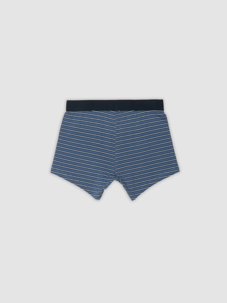 Multipack of five multicolour organic stretch-cotton boxers_2