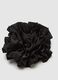 Black Hair Clip_1