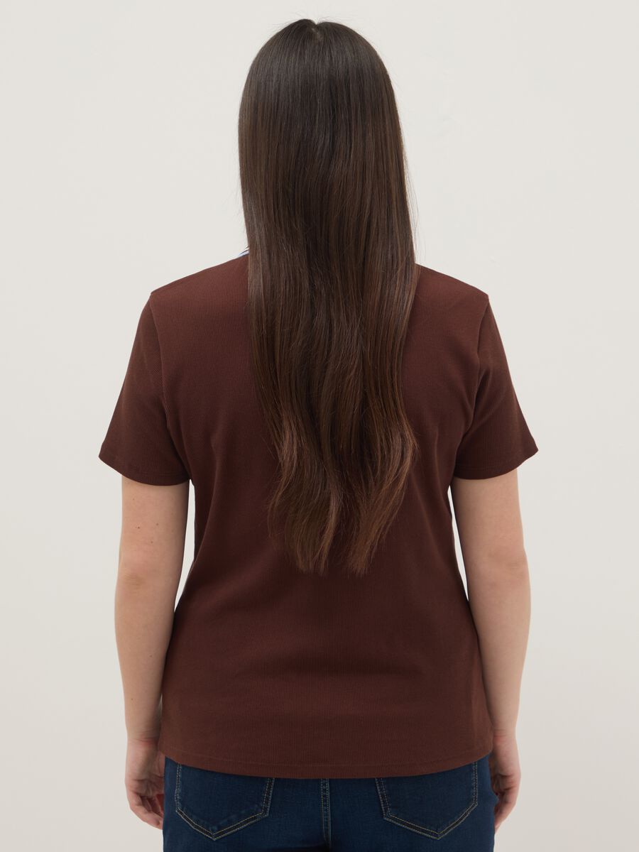 Polo a maniche corte in puro cotone marrone regular fit_1