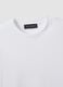 White pure-cotton crew-neck T-shirt in a regular fit_5