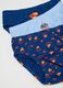 Kids' multicolour pure cotton briefs_2