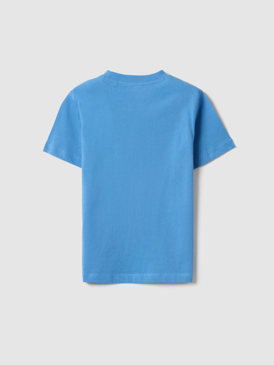 T-shirt in puro cotone azzurra da bambino regular fit con stampa palma_1