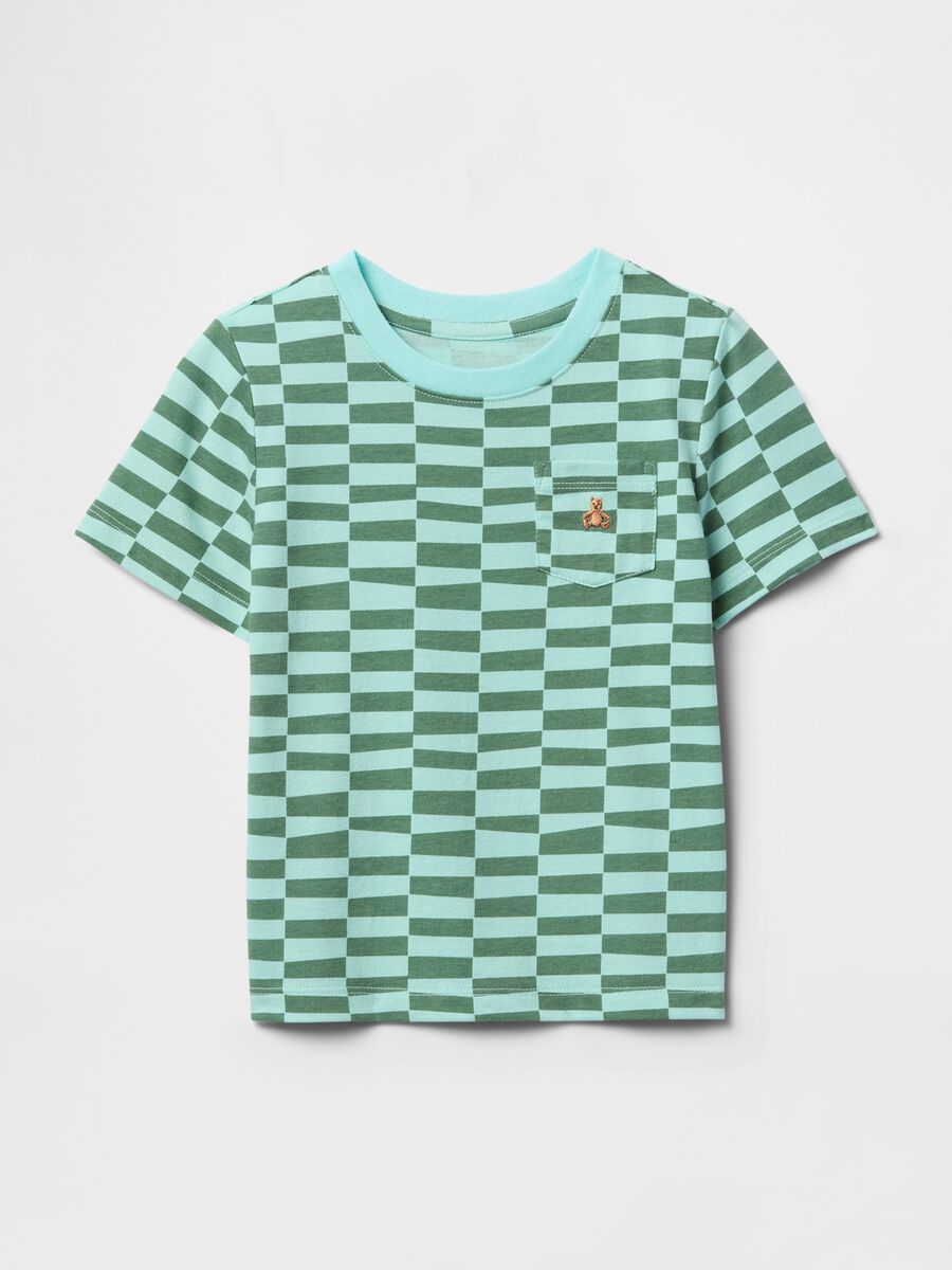 Green and Blue Striped T-Shirt_0