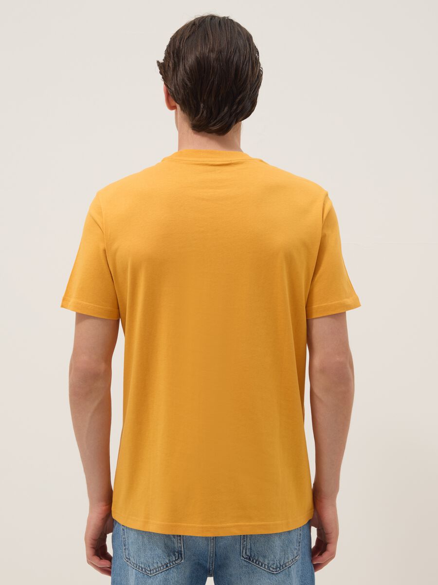 Orange pure cotton T-shirt with front print, regular fit_2