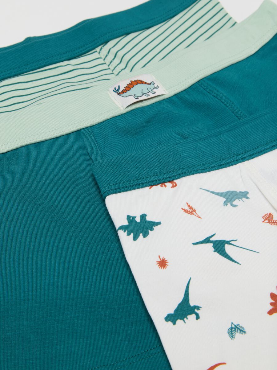 Pack of three multicoloured cotton regular fit boys' briefs_2
