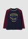 Blue pure cotton crew-neck T-shirt with Harry Potter print_0